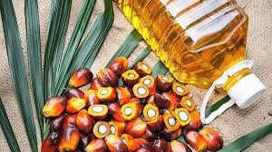 India imports 1.3 million tonnes of edible oils in May as palm oil purchases jump